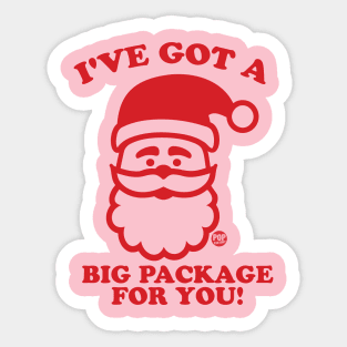 SANTA BIG PACKAGE Sticker